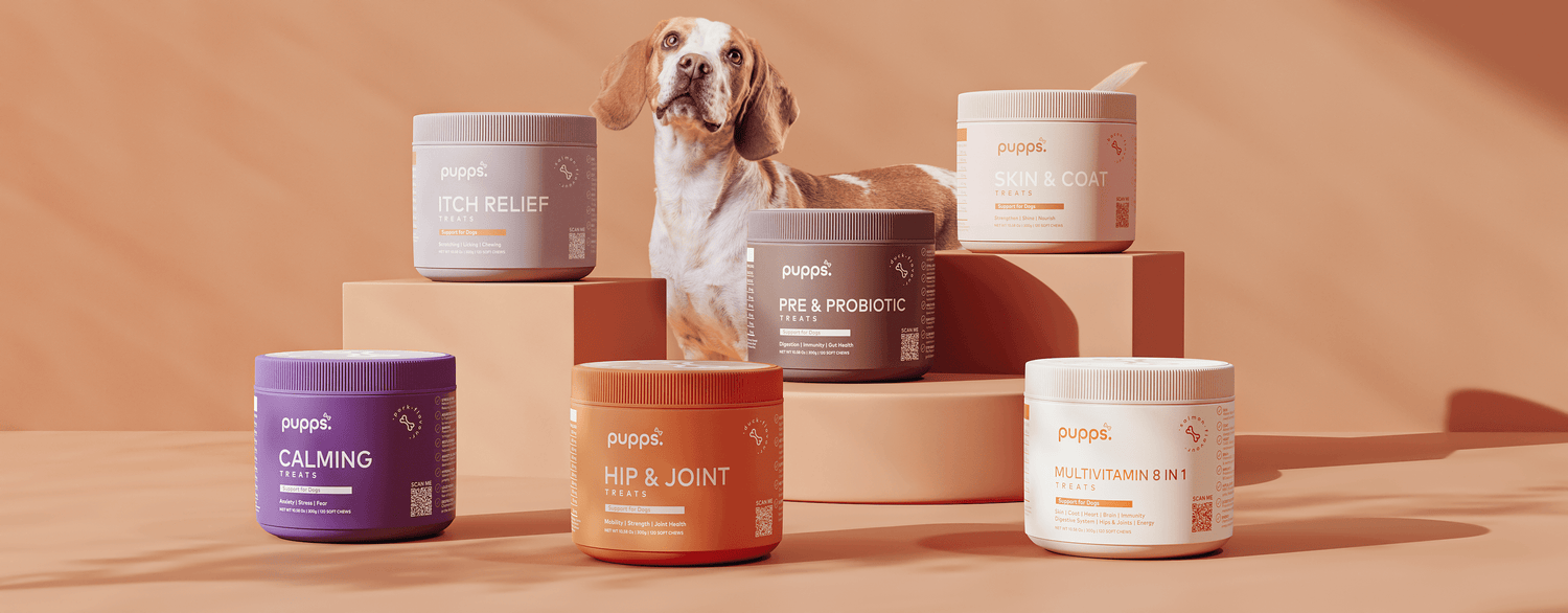 The Pupps Product Guide: Which Treat for Which Problem?