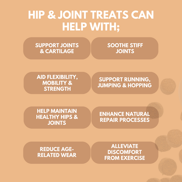 Hip & Joint Treats