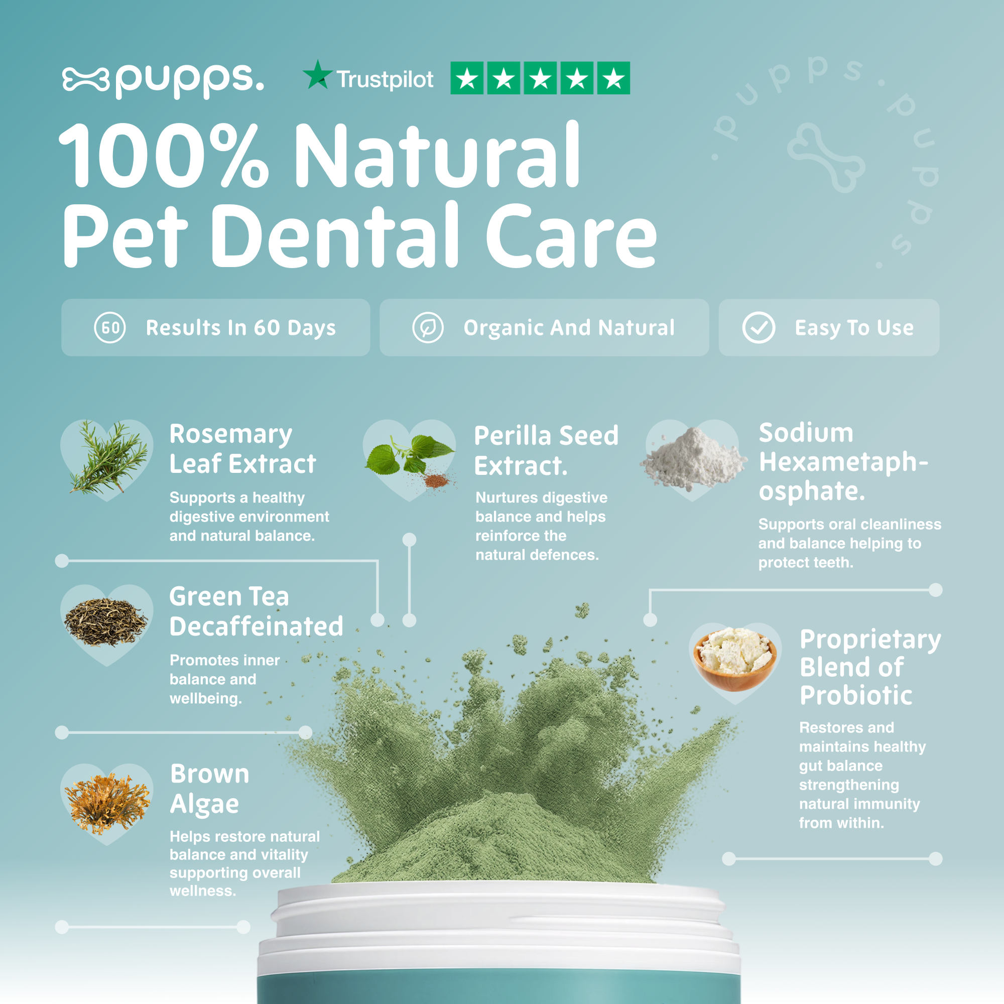 Dental Powder - Pupps