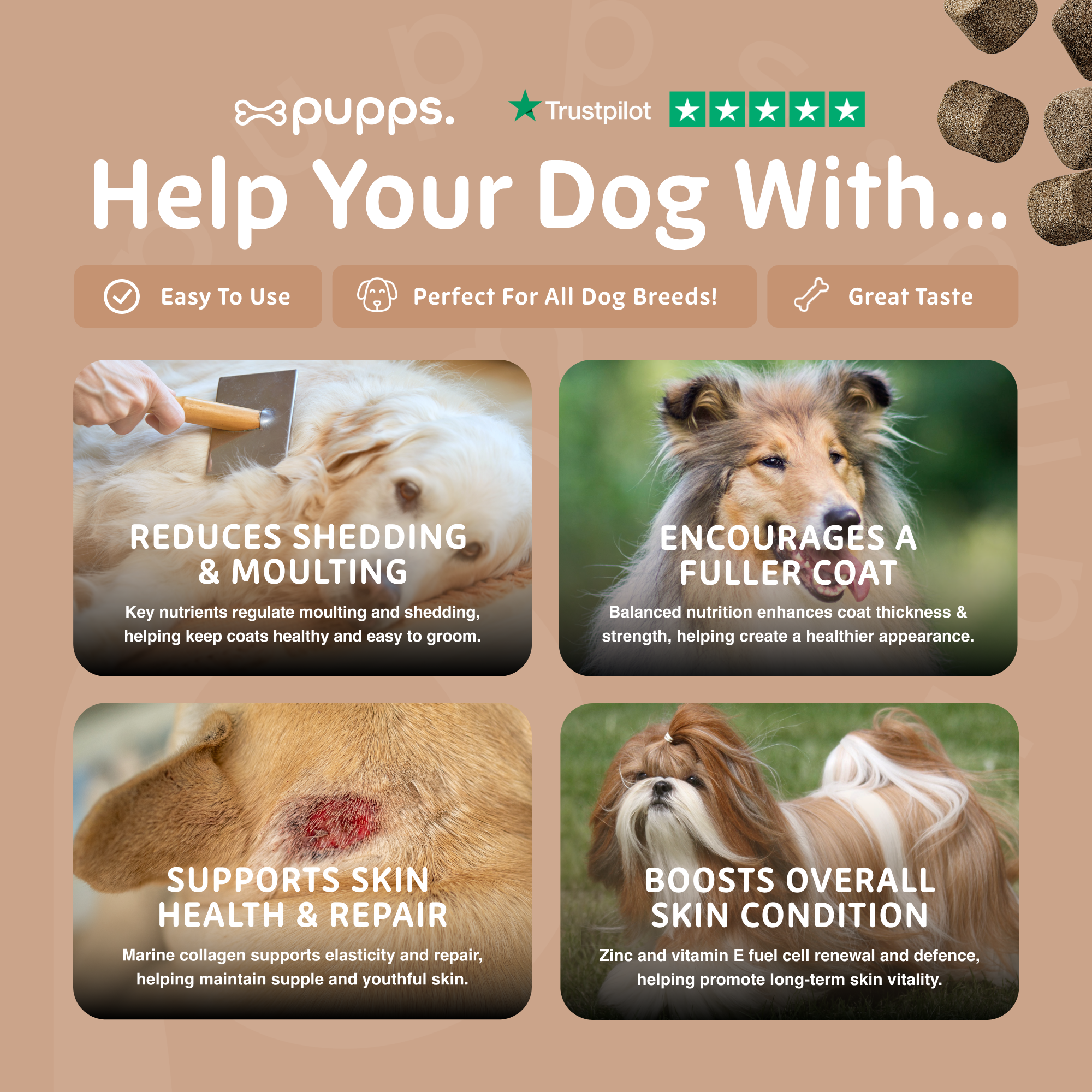 Skin & Coat Treats - Pupps