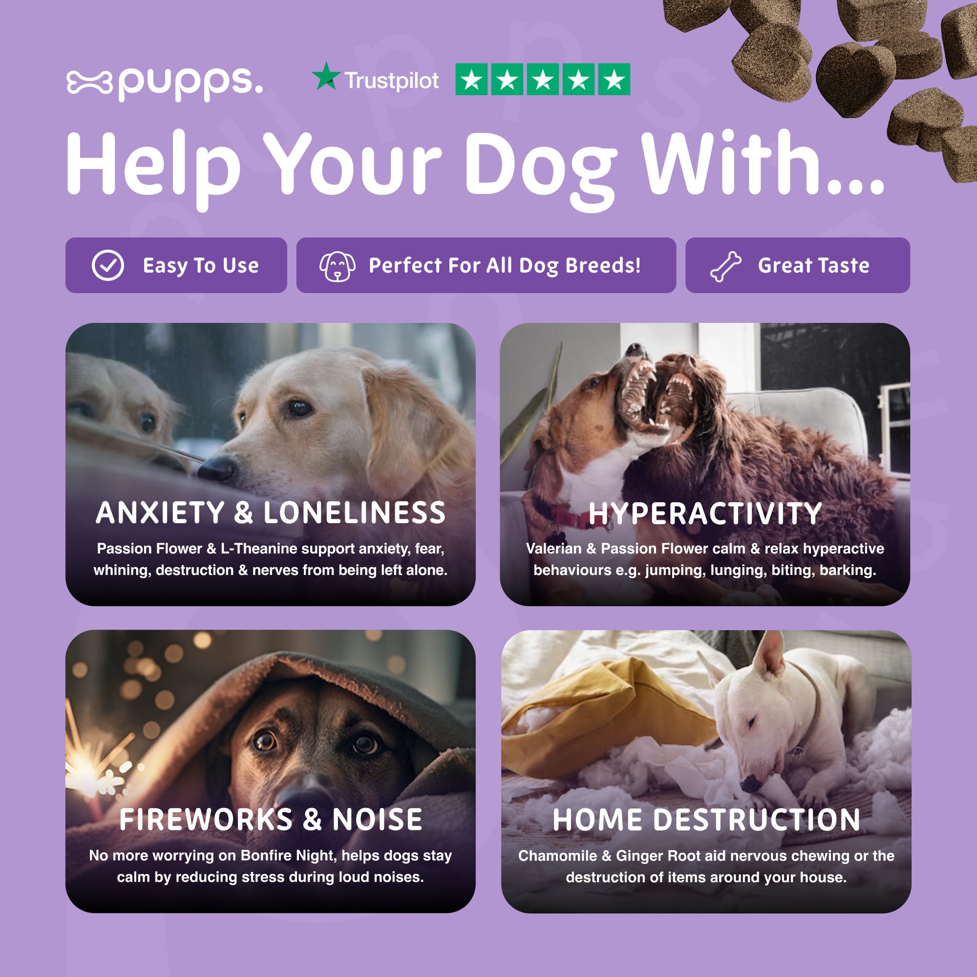 Calming Treats - Pupps