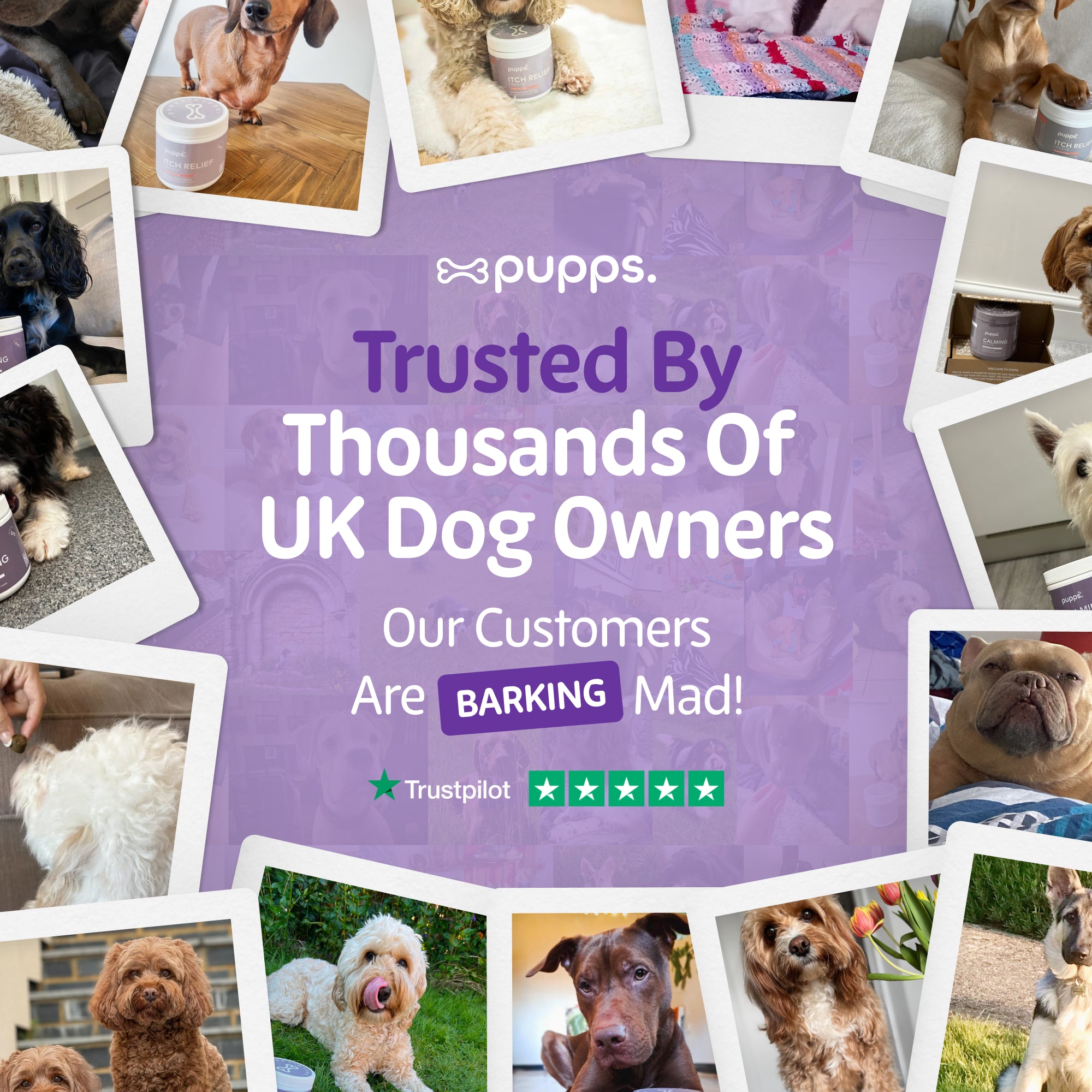 Calming Treats - Pupps