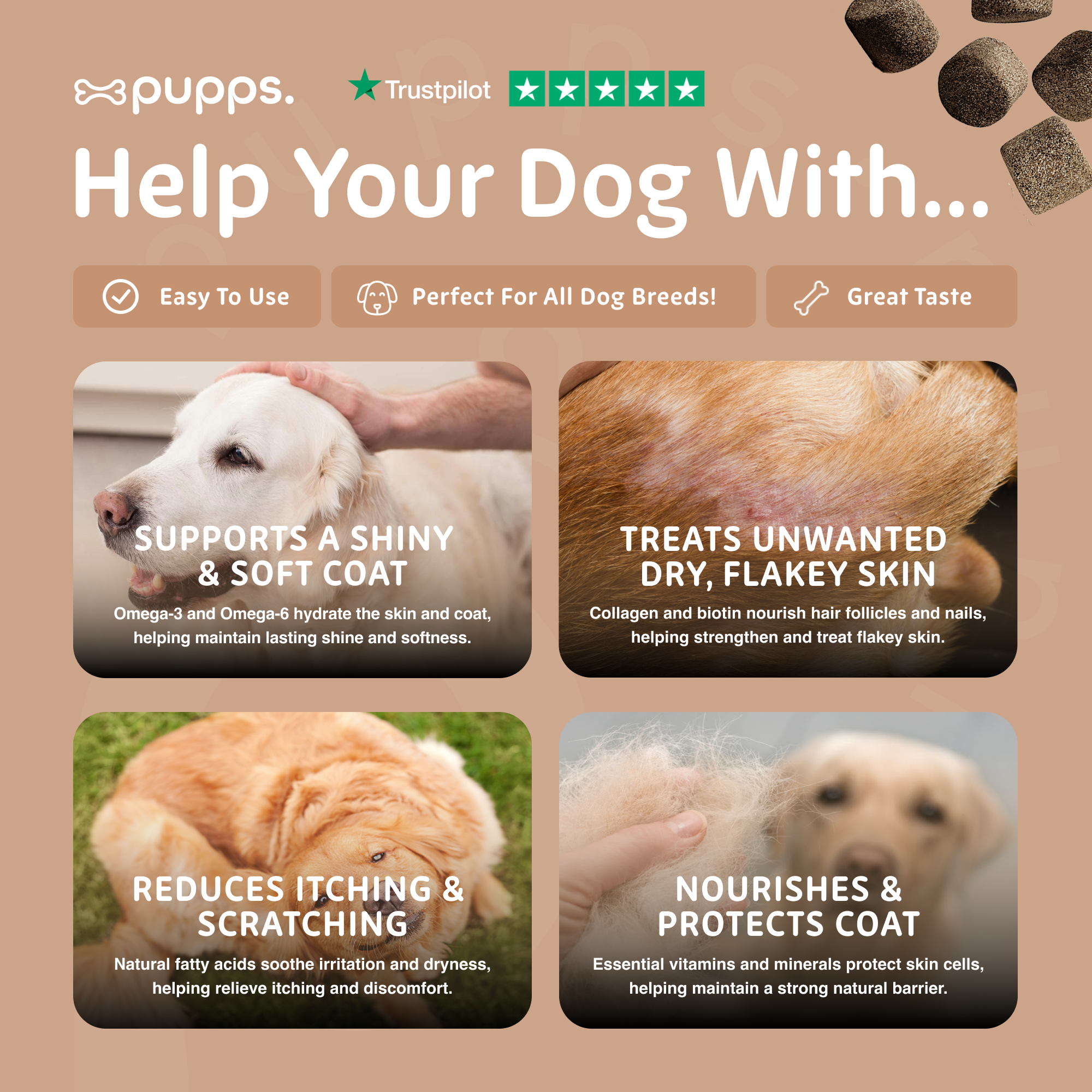Skin & Coat Treats - Pupps