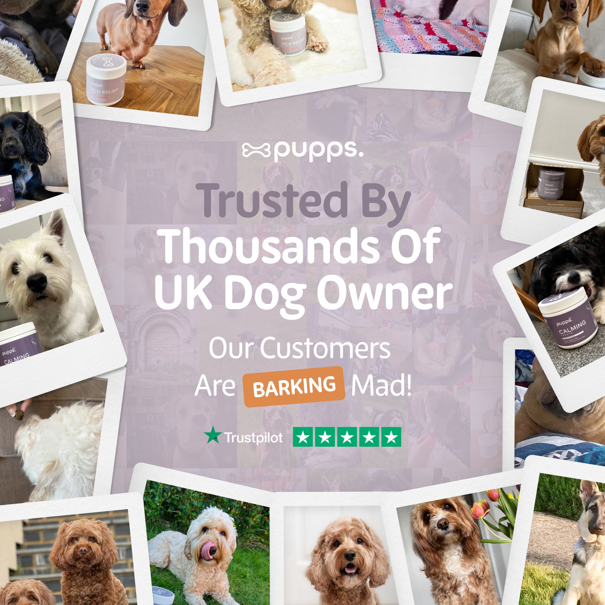 Itch Relief Treats - Pupps