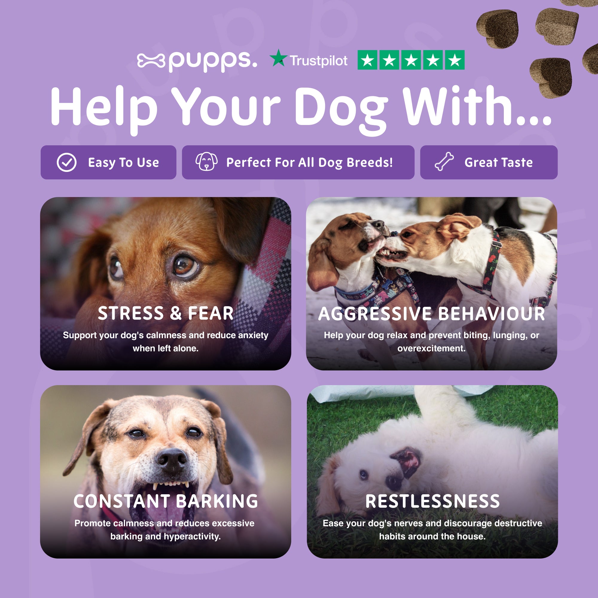 Calming Treats - Pupps