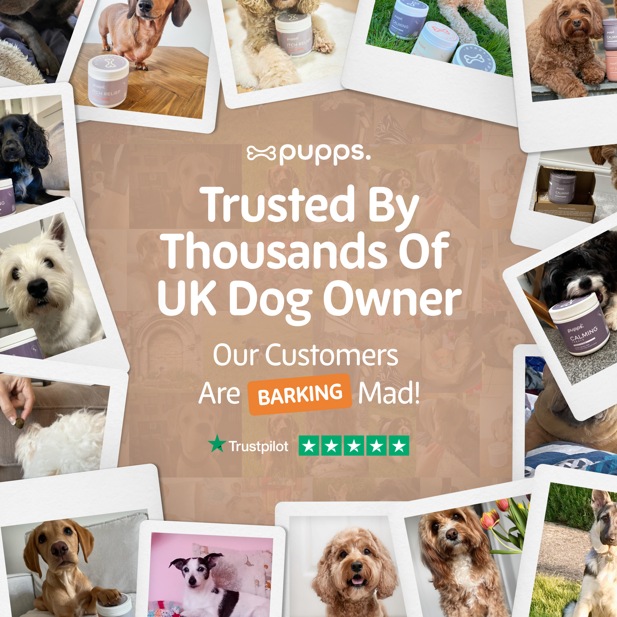 Skin & Coat Treats - Pupps