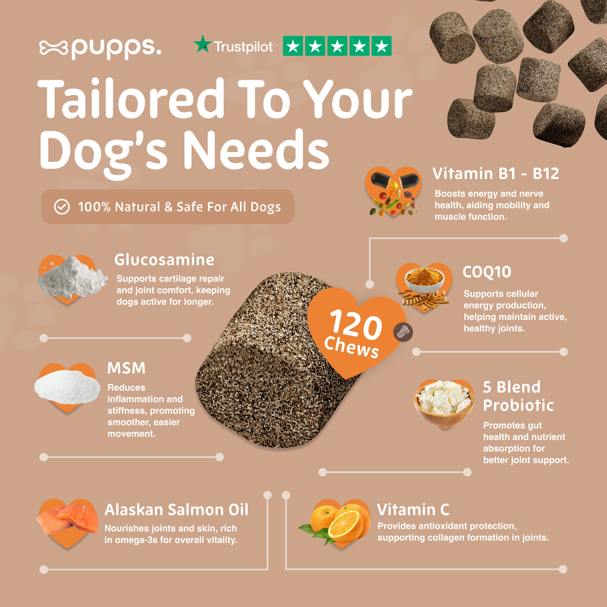 Skin & Coat Treats - Pupps