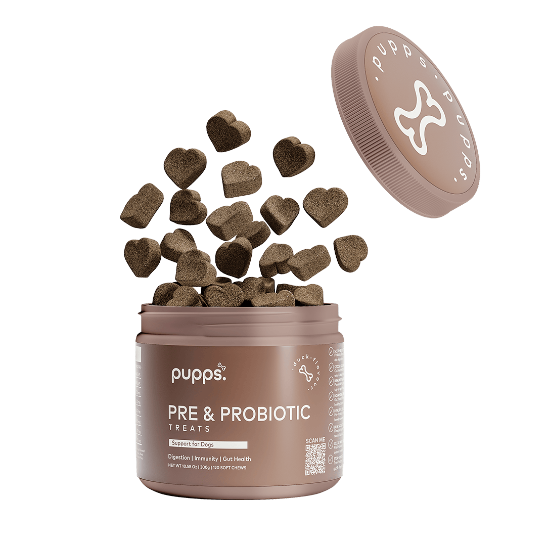 Heart-shaped Pre & Probiotic Treats floating out of brown container with Pupps branding and lid