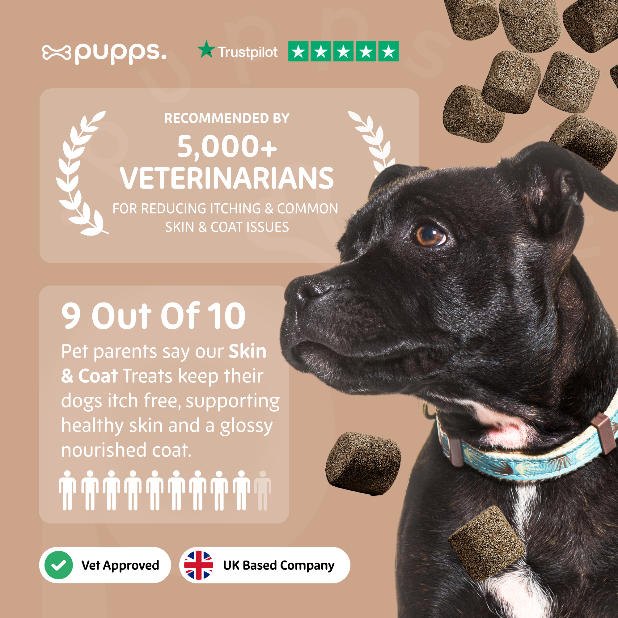 Skin & Coat Treats - Pupps