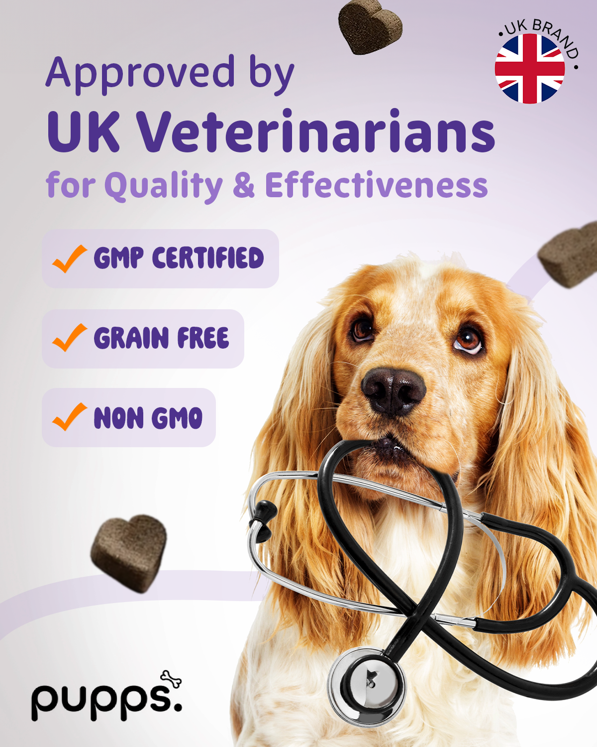 Calming Treats: UK vet-approved dog treats shown with Cocker Spaniel and stethoscope, highlighting GMP certified quality