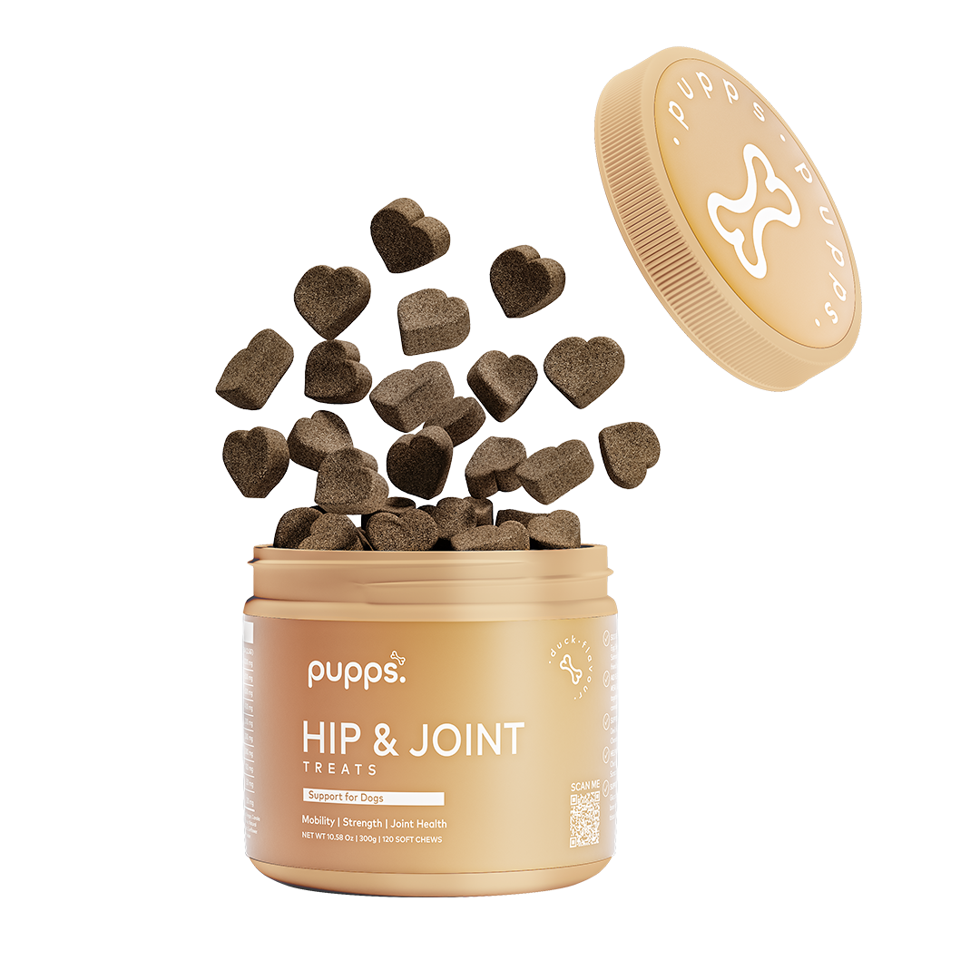 Hip & Joint Treats jar with heart-shaped brown treats floating out of an open golden container