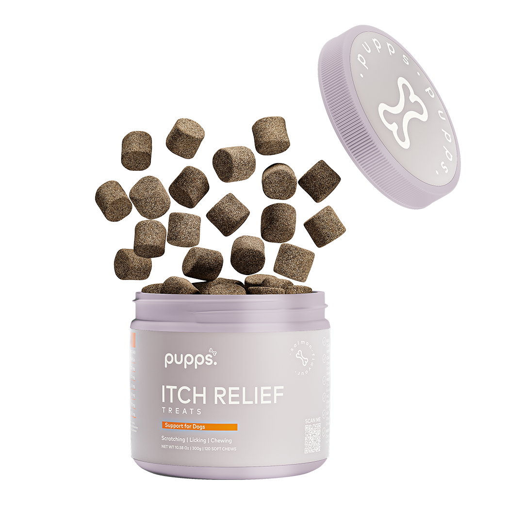Brown Pupps Itch Relief dog treats floating over open lavender container with brand logo lid