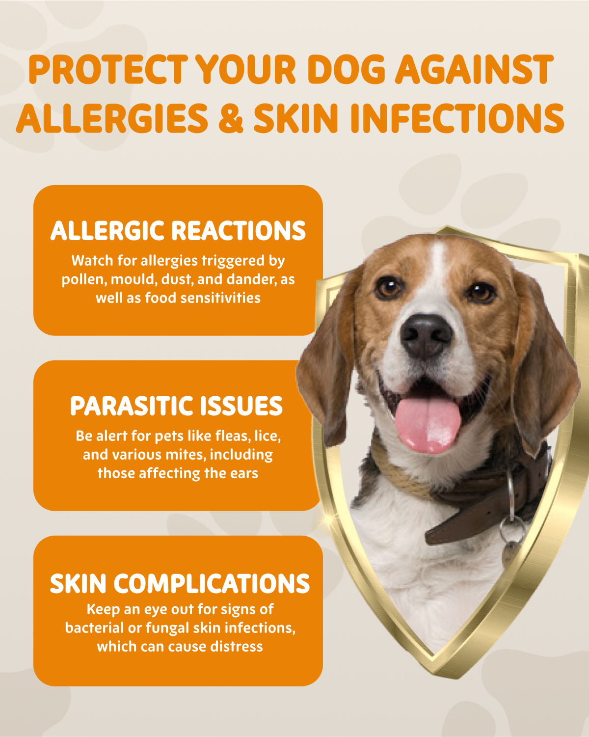 Itch Relief Treats: Natural dog treats with information about allergies, parasites, and skin complications shown with dog portrait