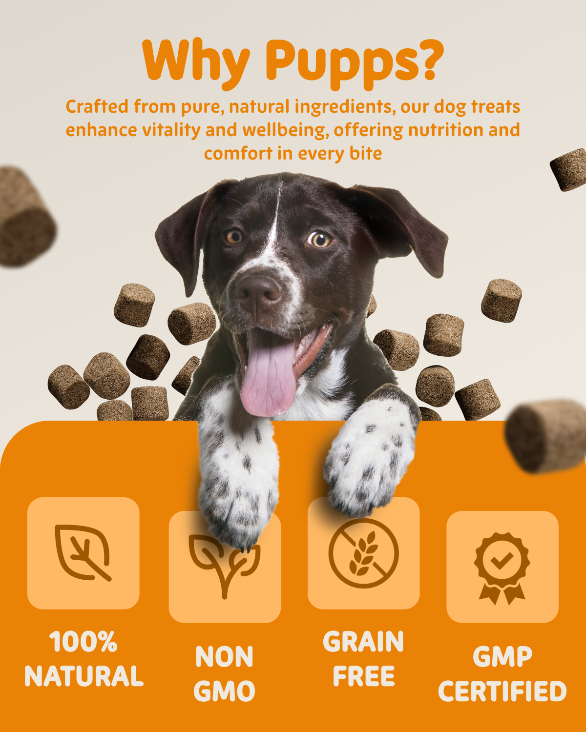 Happy dog with Itch Relief Treats surrounded by product benefits showing natural, non-GMO, and grain-free features