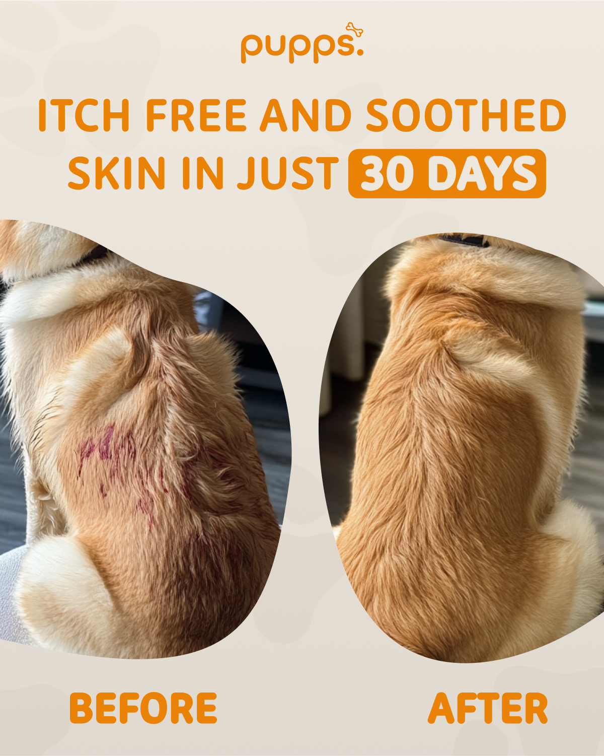 Itch Relief Treats before and after results showing dog skin improvement in 30 days with natural soothing formula