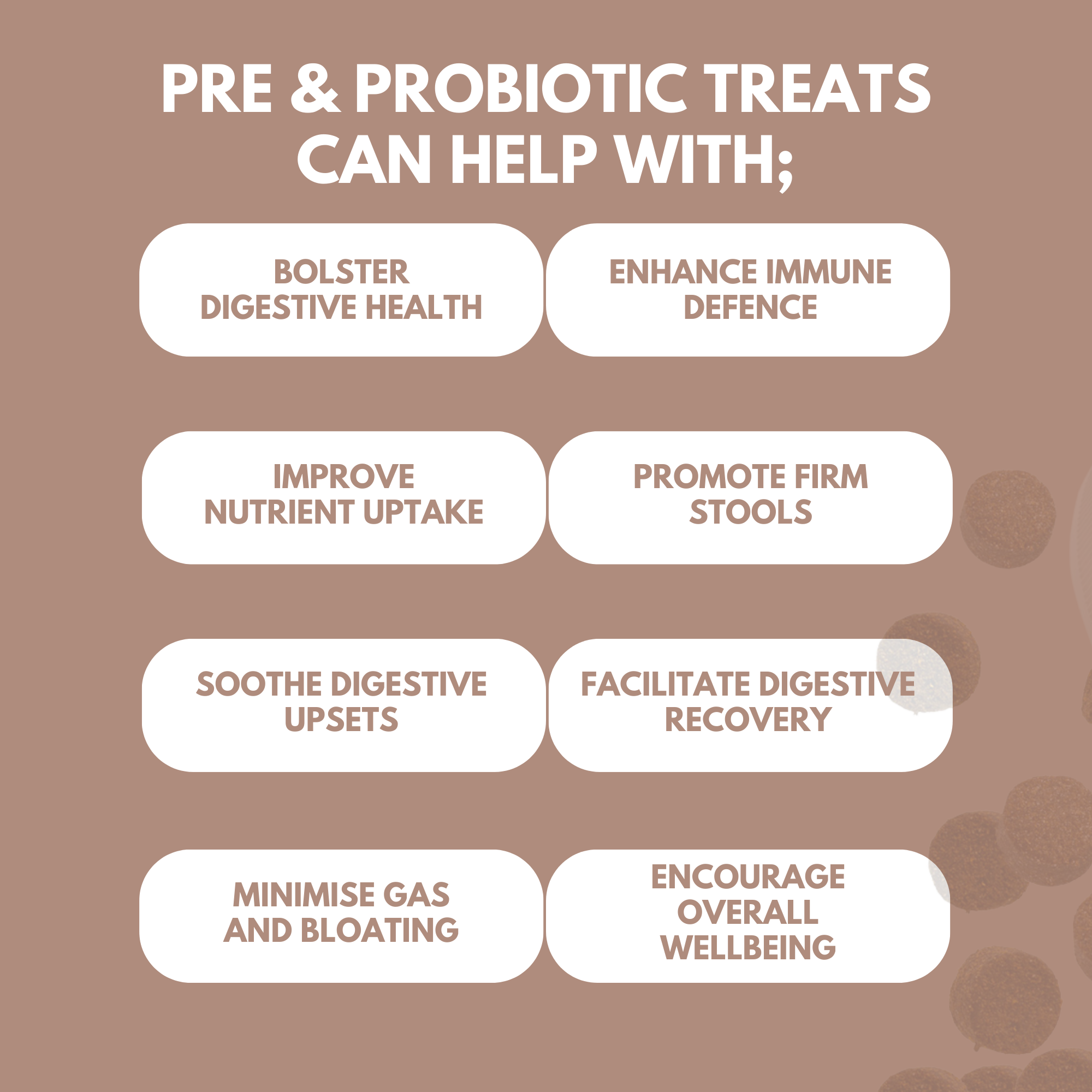 Pre & Probiotic Treats benefits infographic showing digestive health, immune defense and nutrient absorption features