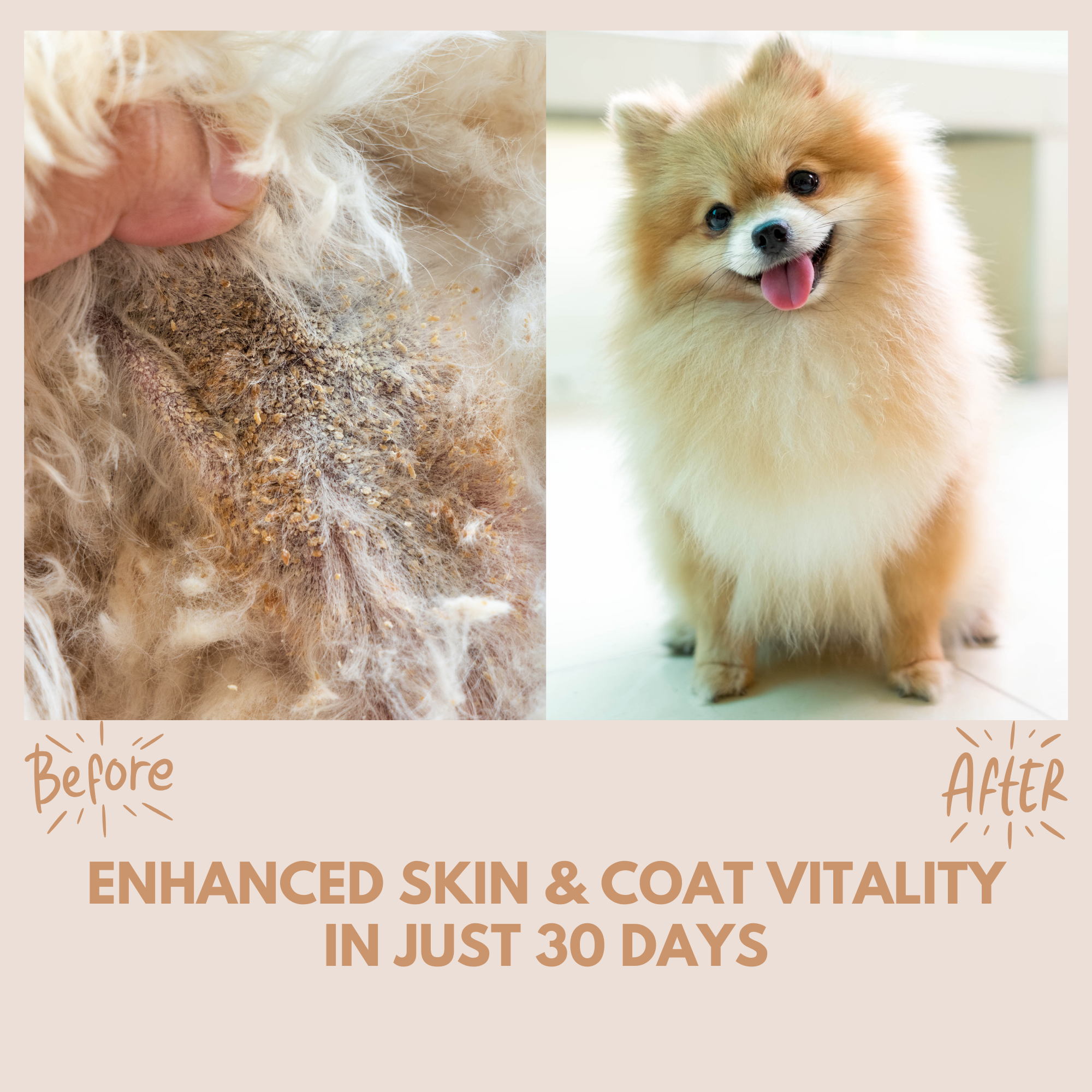 Skin & Coat Treats: Before and after comparison showing improved pet fur condition in 30 days of treatment