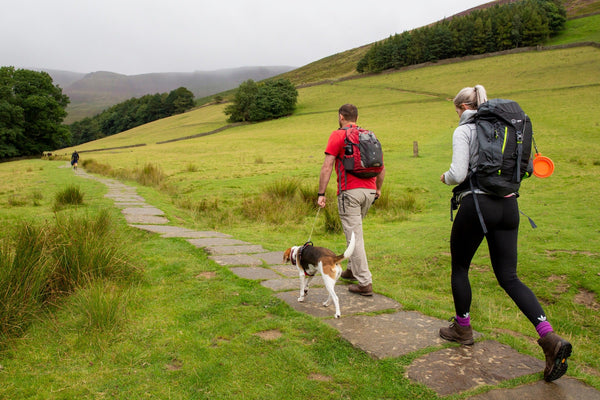 The Top Dog-Friendly Hiking Trails in the UK: Explore the Great Outdoors with Your Pup