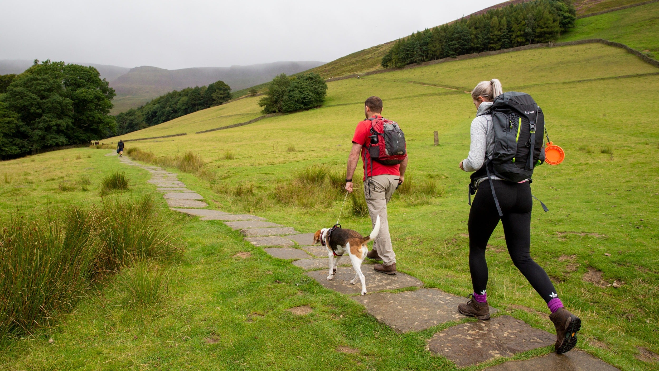 The Top Dog-Friendly Hiking Trails in the UK: Explore the Great Outdoors with Your Pup