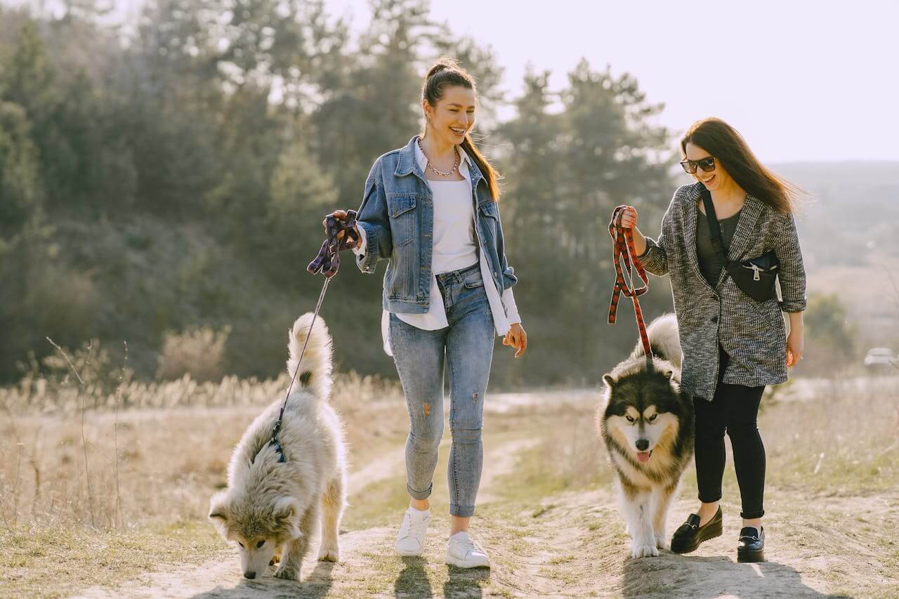 Best Dog-Friendly Spring Walks & Day Trips in the UK