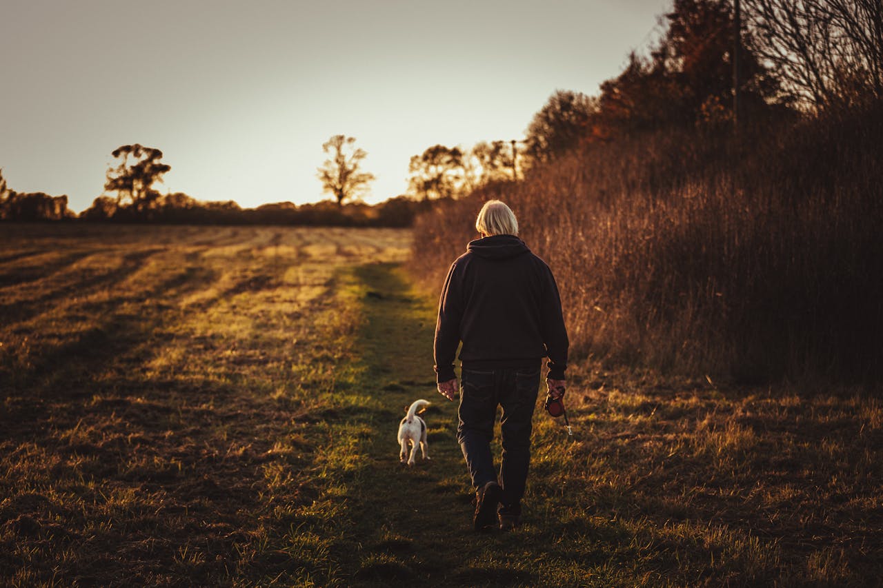 Best Summer Walks & Water Spots for Dogs in the UK