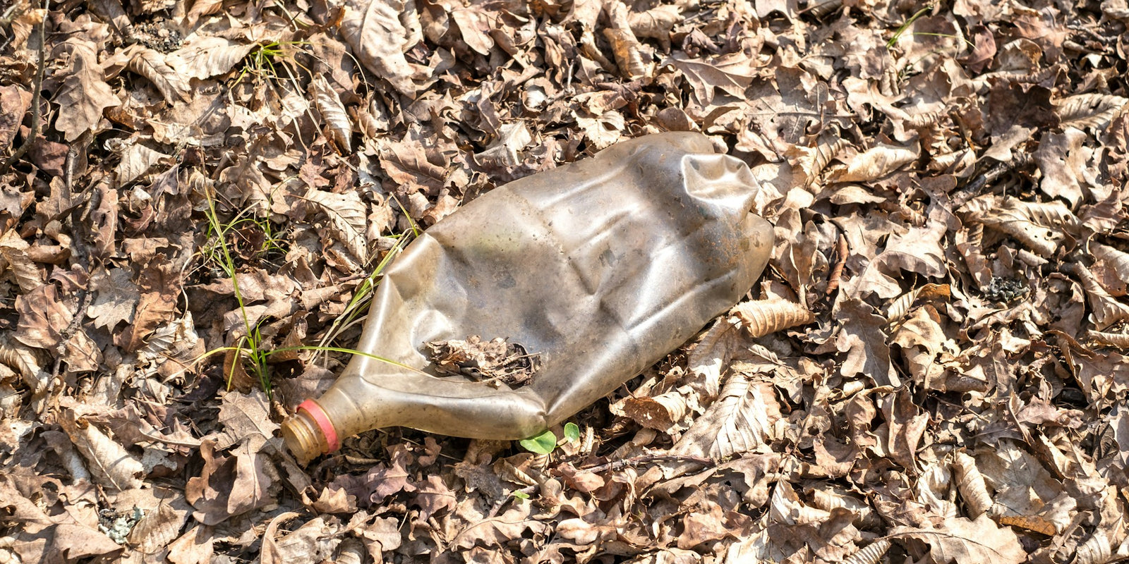pet sustainability image, showing a plastic bottle left on the floor