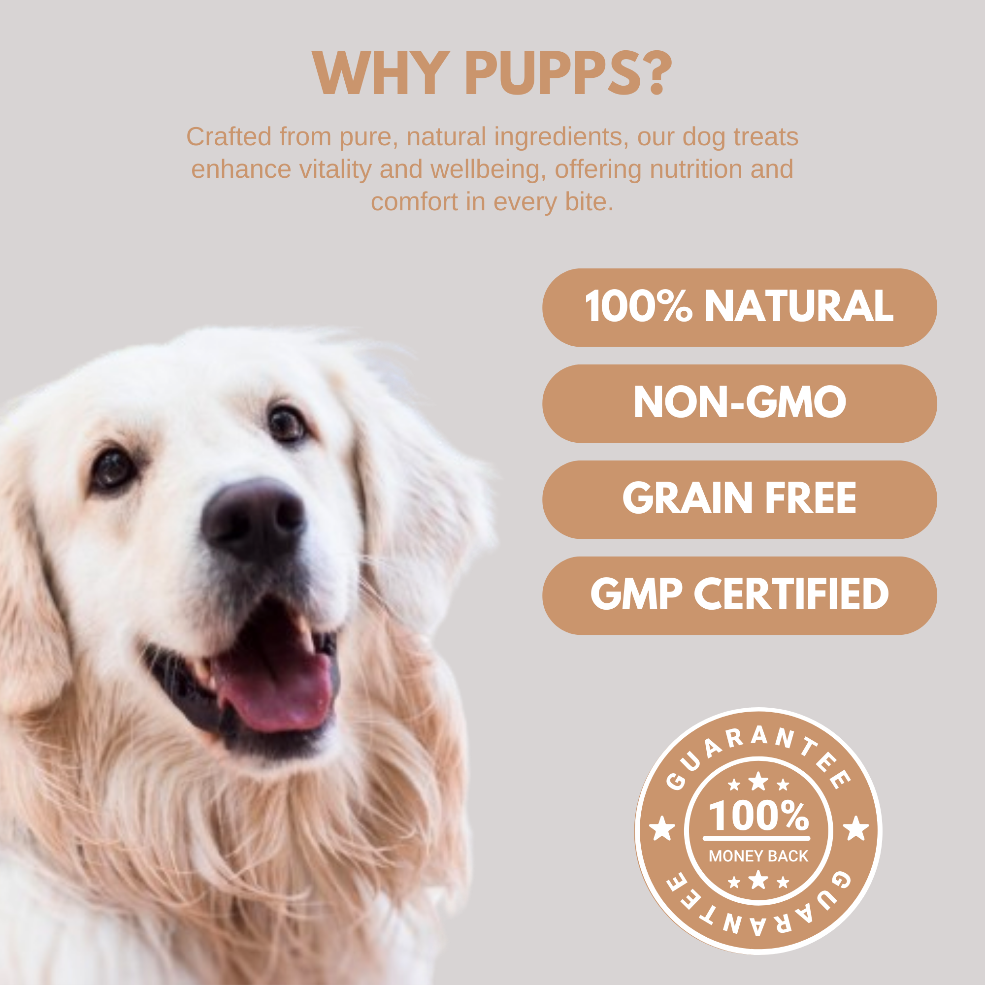 Natural Itch Relief for Dogs | Soothe Skin & Reduce Scratching | Pupps