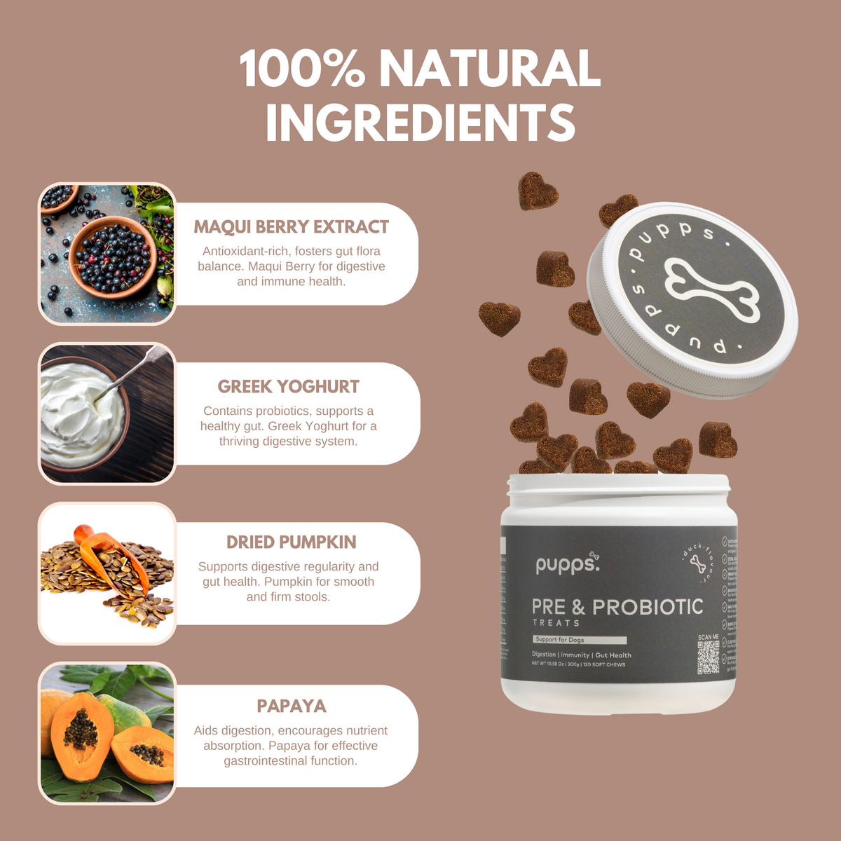 Pre & Probiotic Dog Treats |Digestive & Immune Health | Vet Approved ...