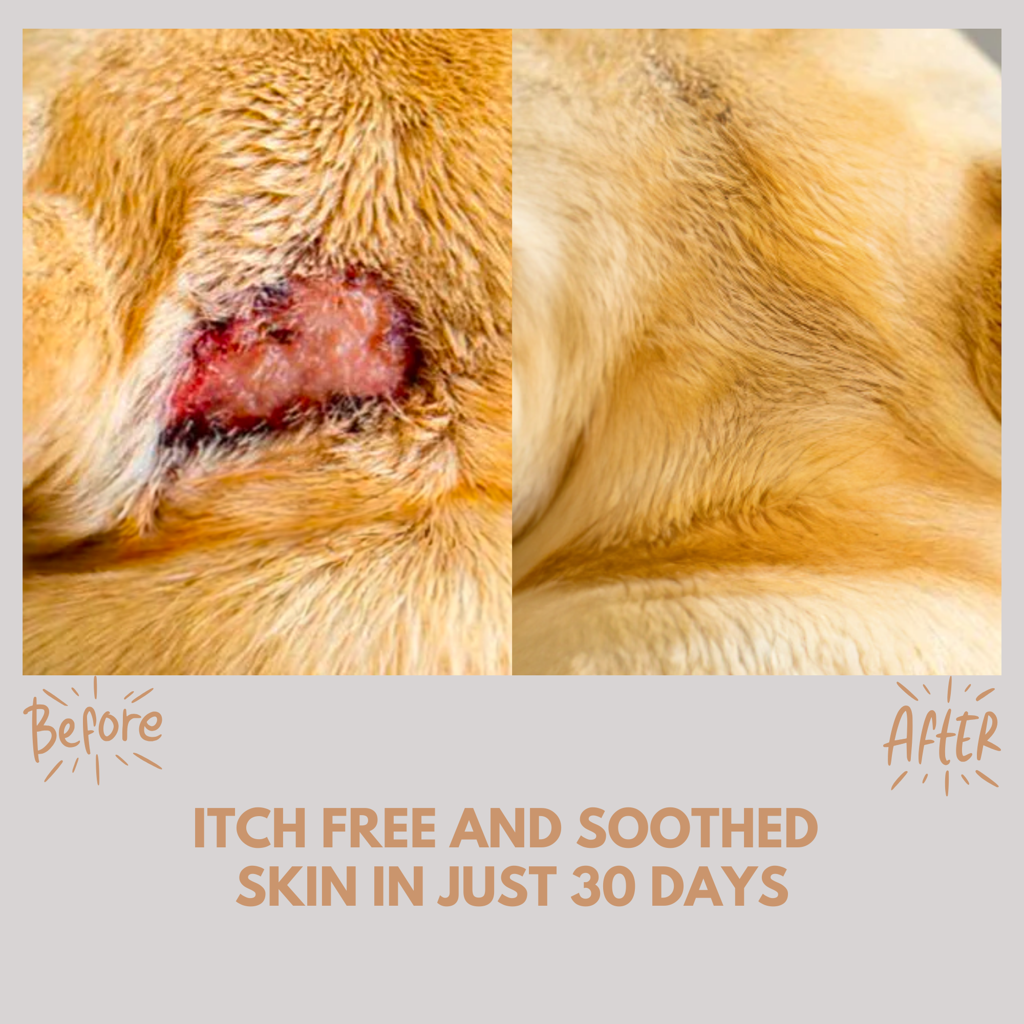 Itch Relief Treats