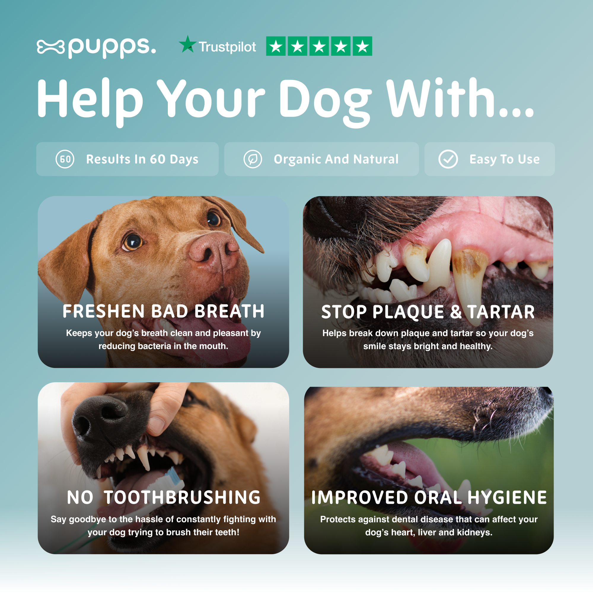 Dental Powder - Pupps