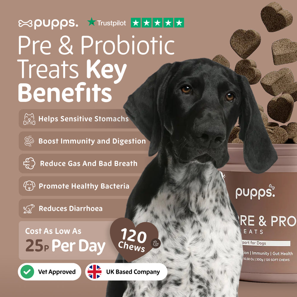 Pre & Probiotic Treats - Pupps