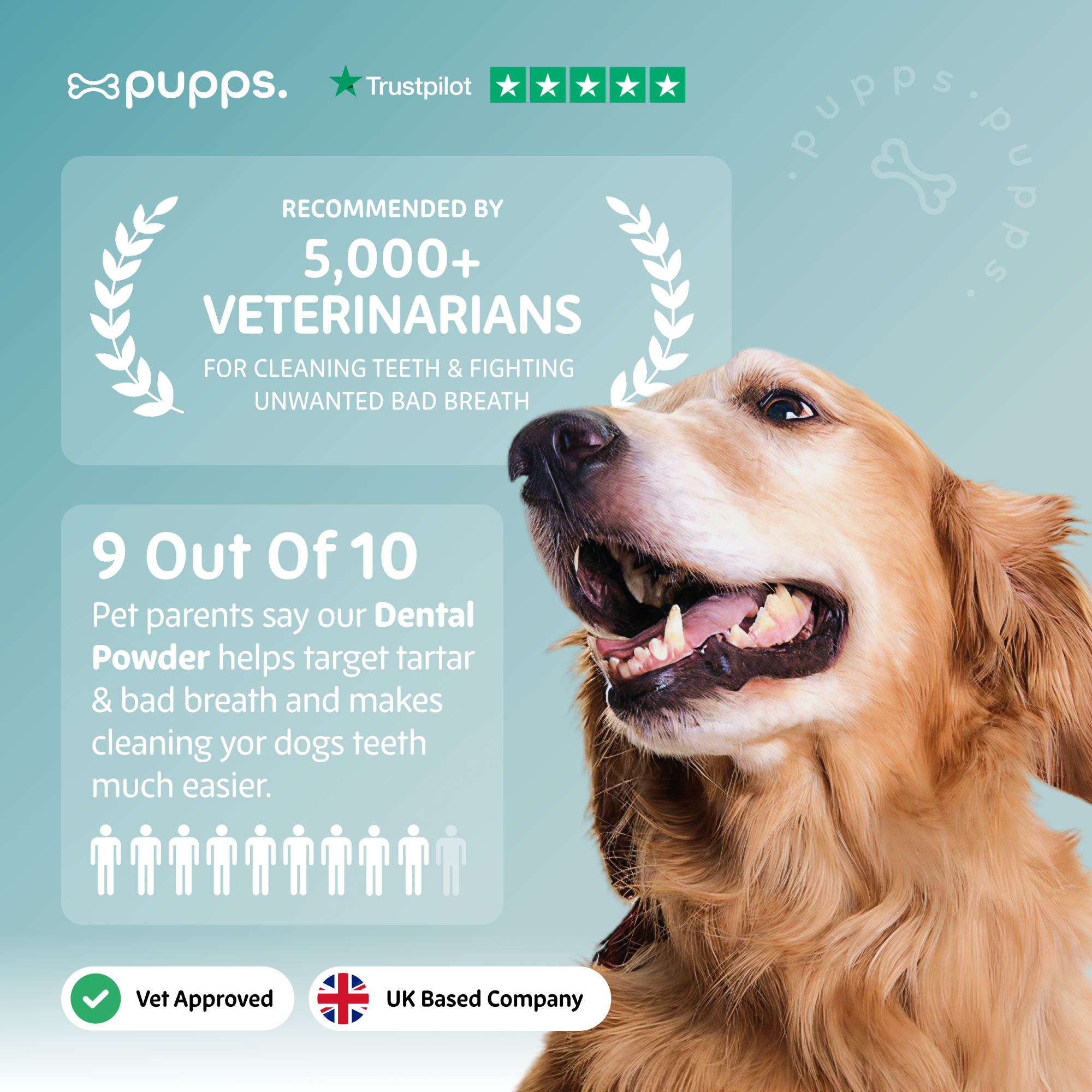 Dental Powder - Pupps