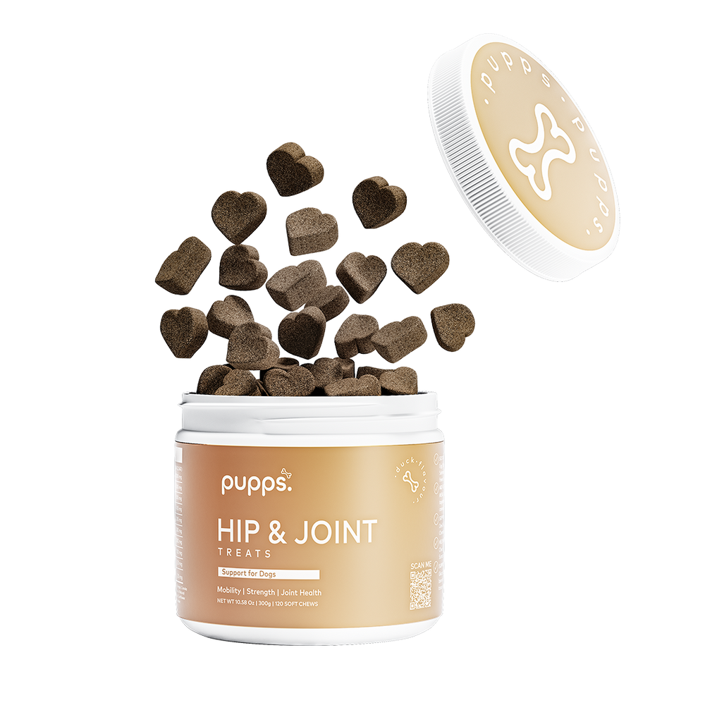 Pupps Rahs PUPPS | Shop Best Dog Treats, Multivitamin & Supplements online in UK