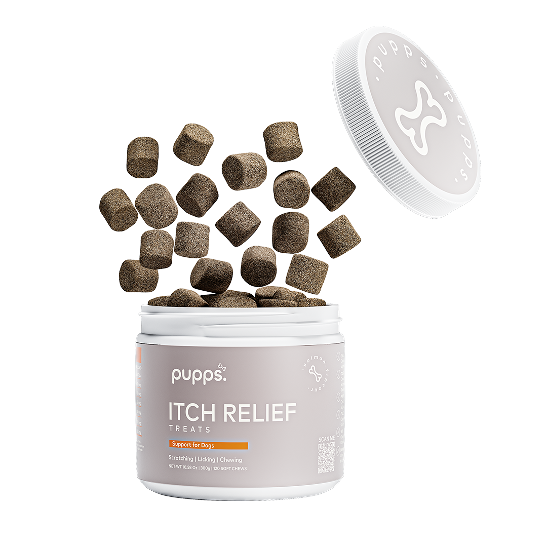 Itch Relief Treats