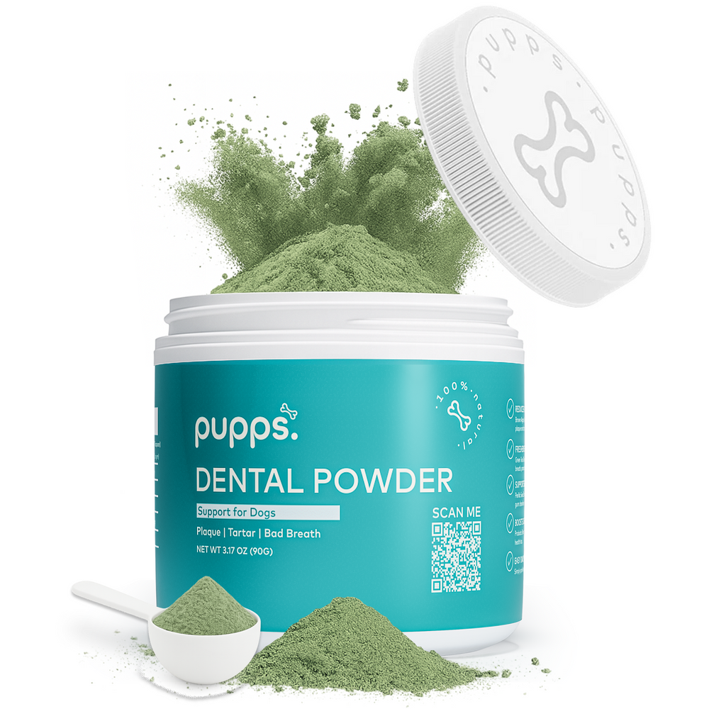Dental Powder - Pupps