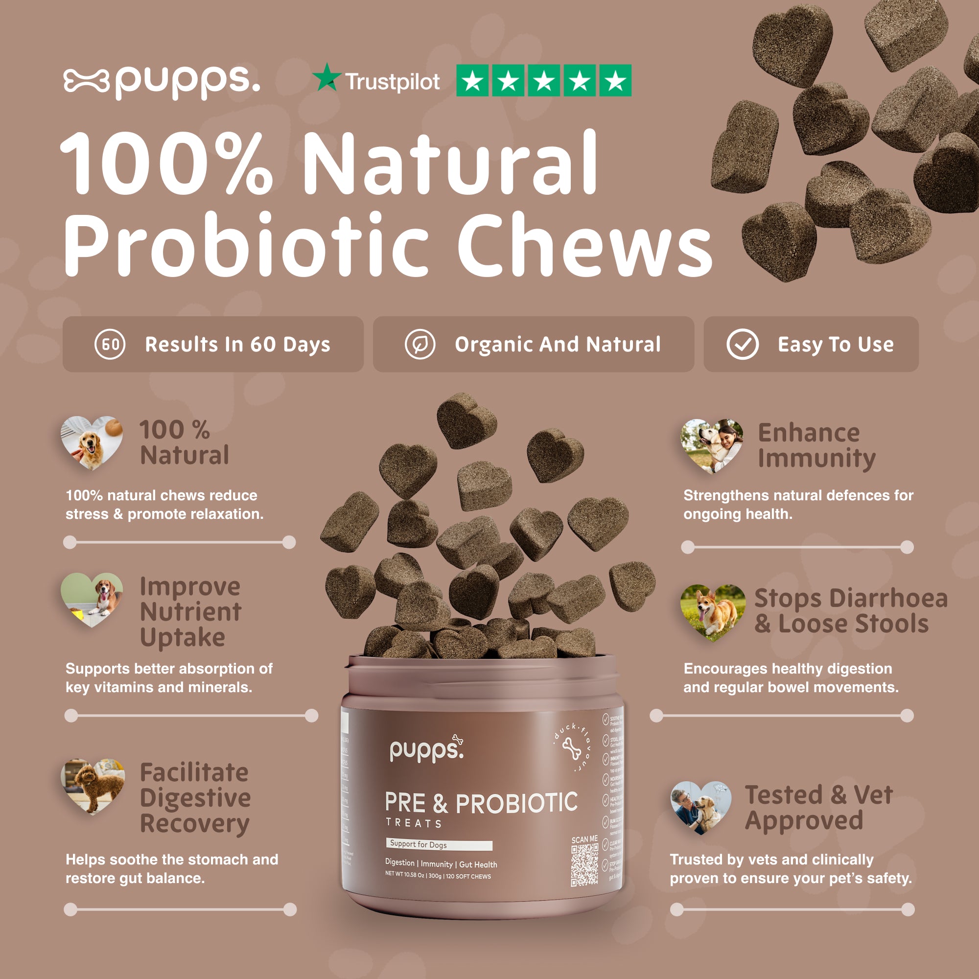 Pre & Probiotic Treats