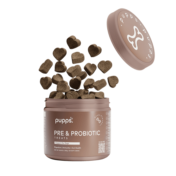 Pre & Probiotic Dog Treats |Digestive & Immune Health | Vet Approved ...