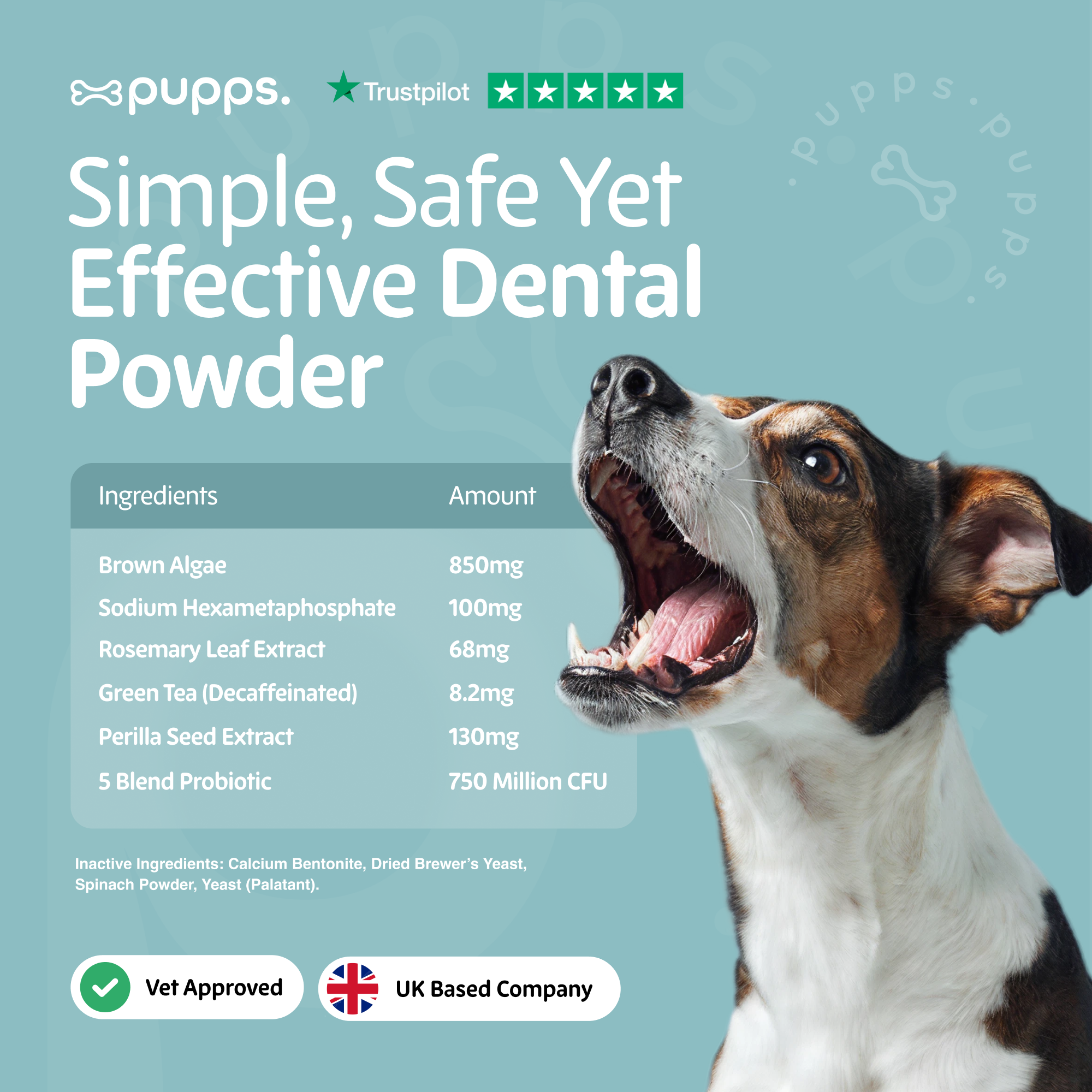 Dental Powder - Pupps