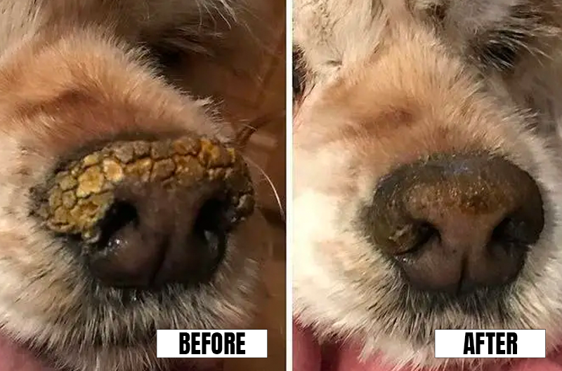 beforeandafter1.png