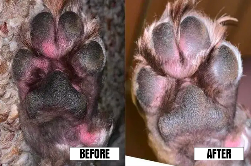 beforeandafter12.png