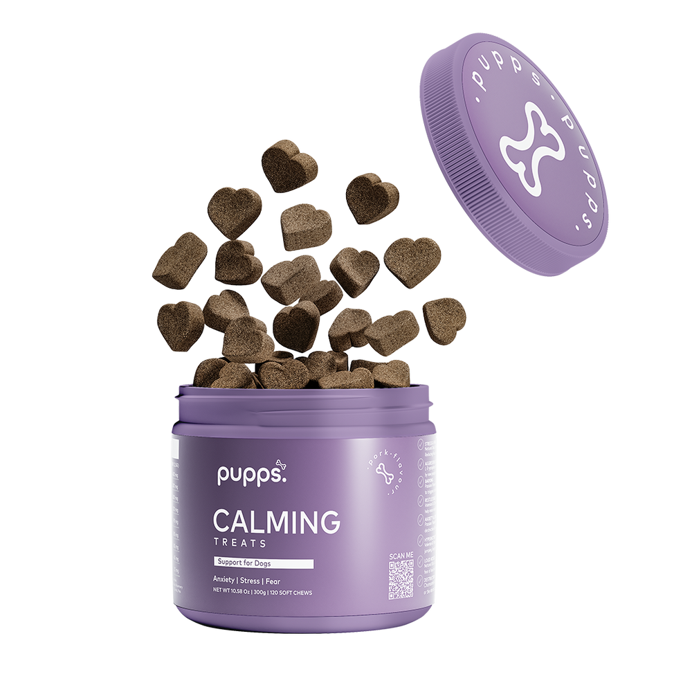 Heart-shaped Calming Treats falling into purple container with Pupps logo lid