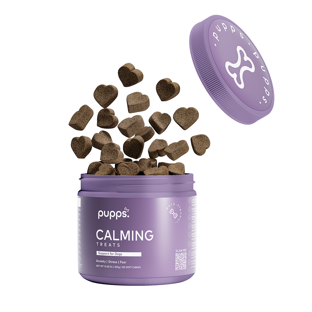 Heart-shaped Calming Treats falling into purple container with Pupps logo lid