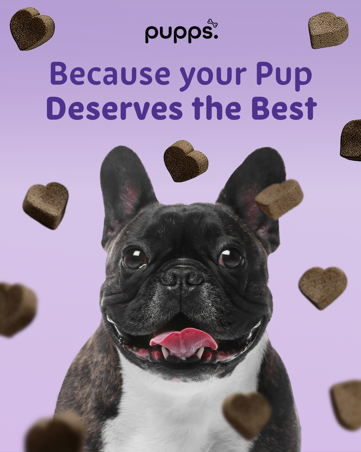 Smiling French Bulldog with heart-shaped Calming Treats floating on purple background, Pupps brand logo above