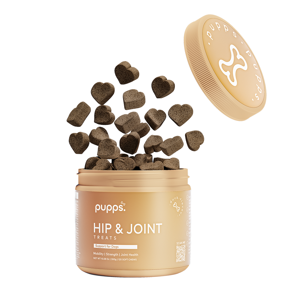 Hip & Joint Treats jar with heart-shaped brown treats floating out of an open golden container