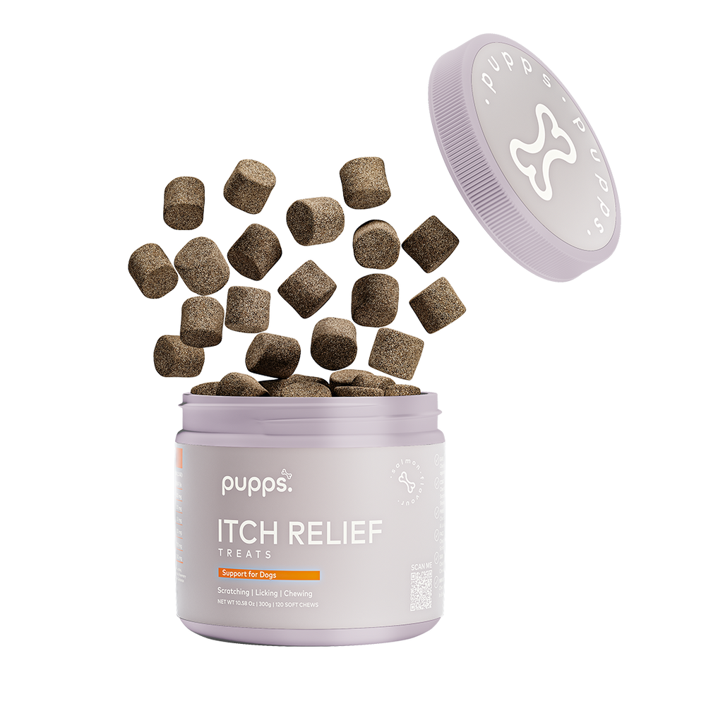 Brown Pupps Itch Relief dog treats floating over open lavender container with brand logo lid