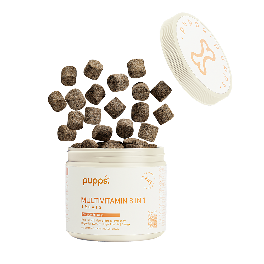 Multivitamin Treats scattered from white jar with floating lid, showing brown nutritional dog supplement bites