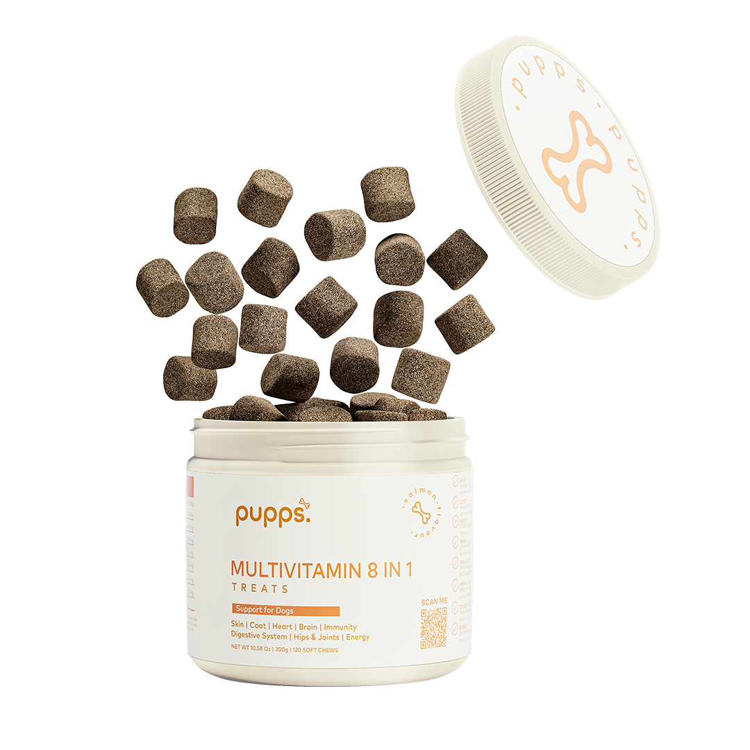 Multivitamin Treats scattered from white jar with floating lid, showing brown nutritional dog supplement bites